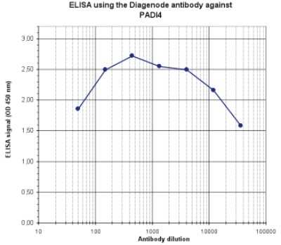 ELISA: PADI4 Antibody [NBP3-18652]